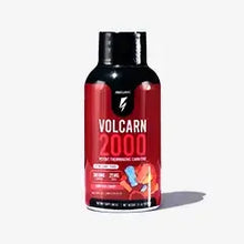 ギャラリービューアに画像をロードします、Free Volcarn 2000 Sample